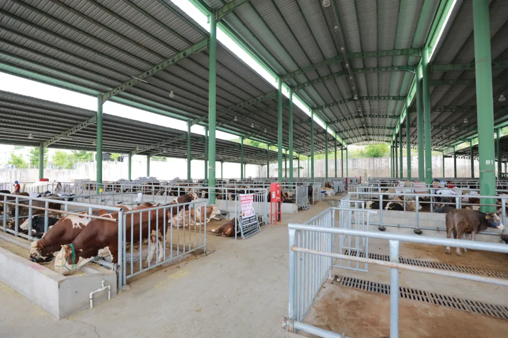 Kurban satışı için Modern Hayvan Pazarına ön kayıtlar başladı