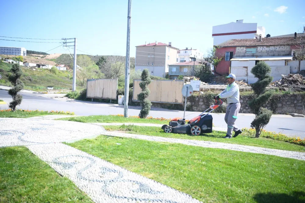 Yeşil alanlarda bakım, budama ve ot biçme çalışmaları