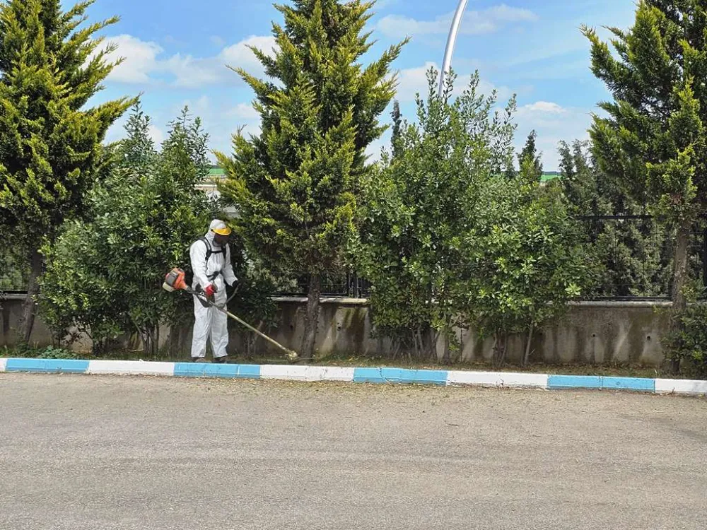 Dilovası’nda Yaz Temizliği Başladı