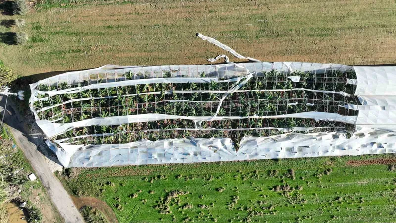 Antalya’da hortumun seralara verdiği zararın boyutu gün yüzüne çıktı
