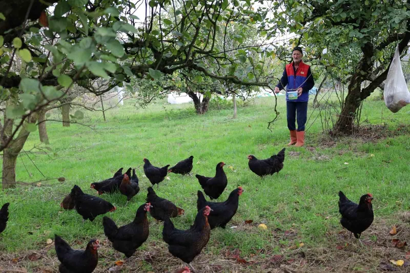 Kocaeli’de kırsal kalkınmaya 