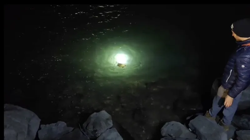 Misina ve ipe dolanan caretta carettanın yardımına vatandaşlar yetişti
