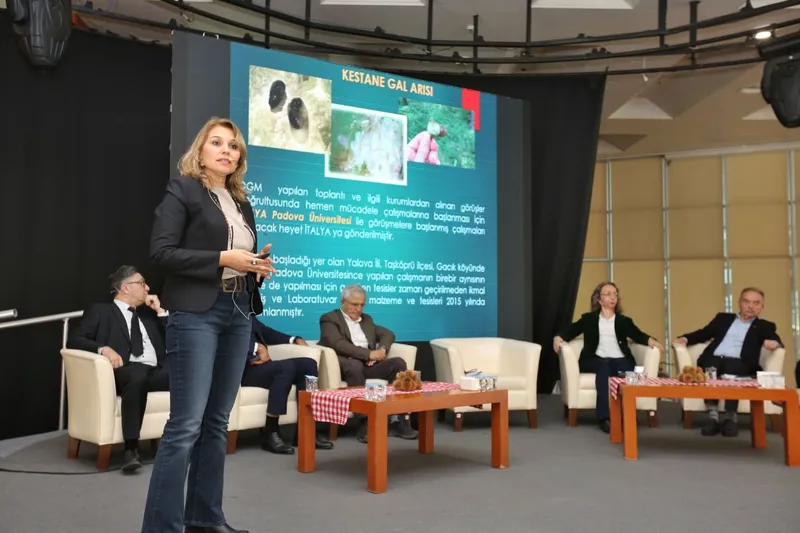 Kestane Büyükşehir’le filizleniyor
