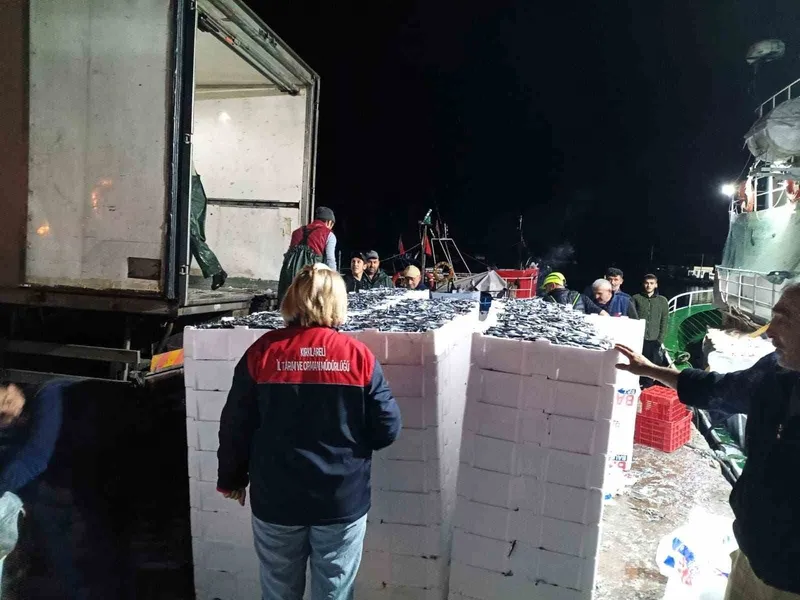 Demirköy’de hamsi denetimi
