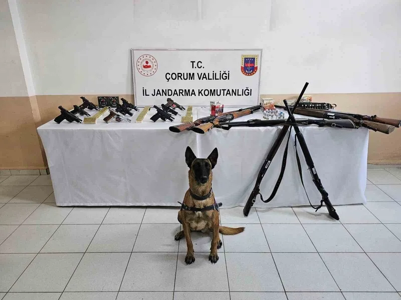 Çorum jandarmasından ’düğün magandaları’na operasyon : 11 gözaltı
