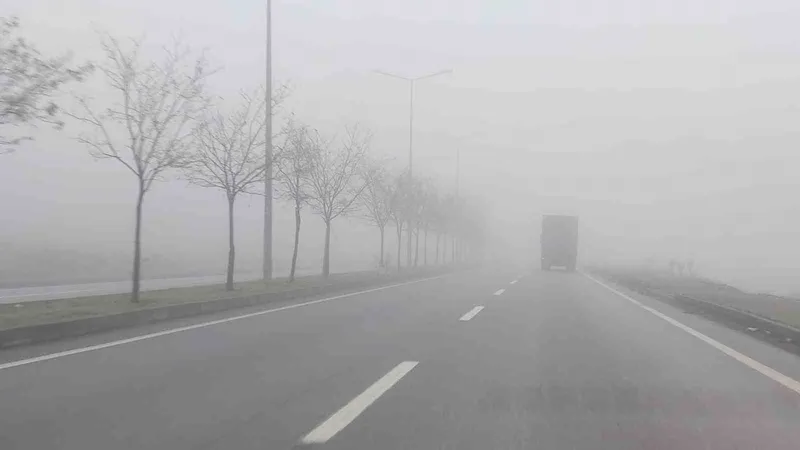 Bingöl’de yoğun sis etkili oldu
