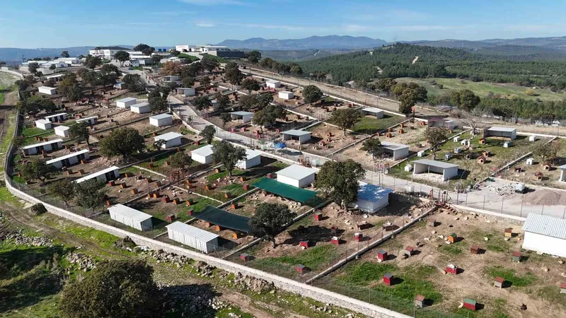 Yunusemre’de sokak hayvanları için örnek yaşam merkezi
