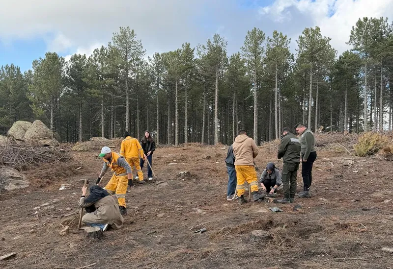 Kırşehir’den gelen üniversite öğrencileri Çine’de fidan dikti
