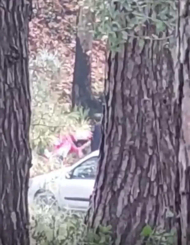 İzmir’de bir kadın ormanlık alanda darbedildi
