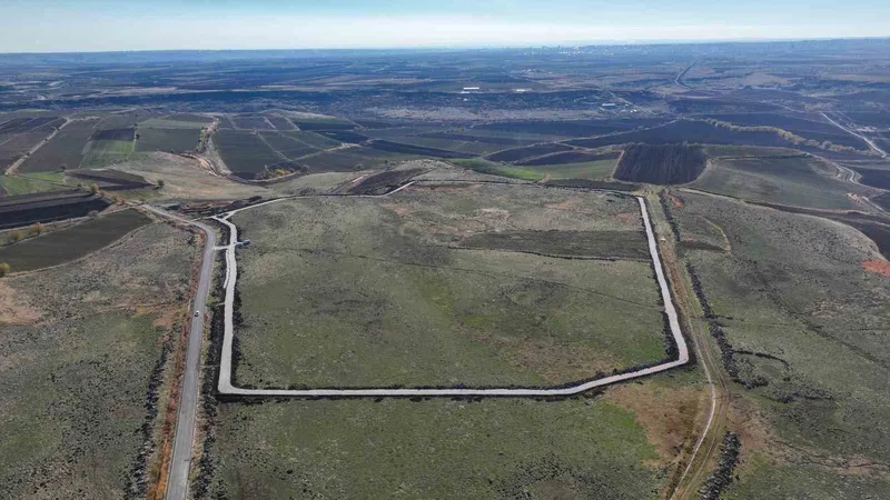 Doğal yaşam alanı 195 dönüm üzerinde kurulacak
