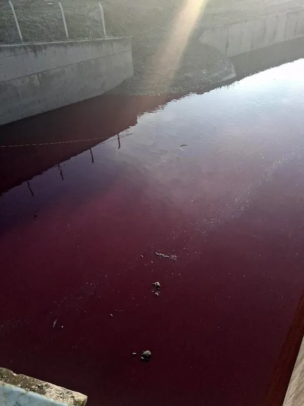 Esenyurt’ta derenin rengi kırmızıya döndü
