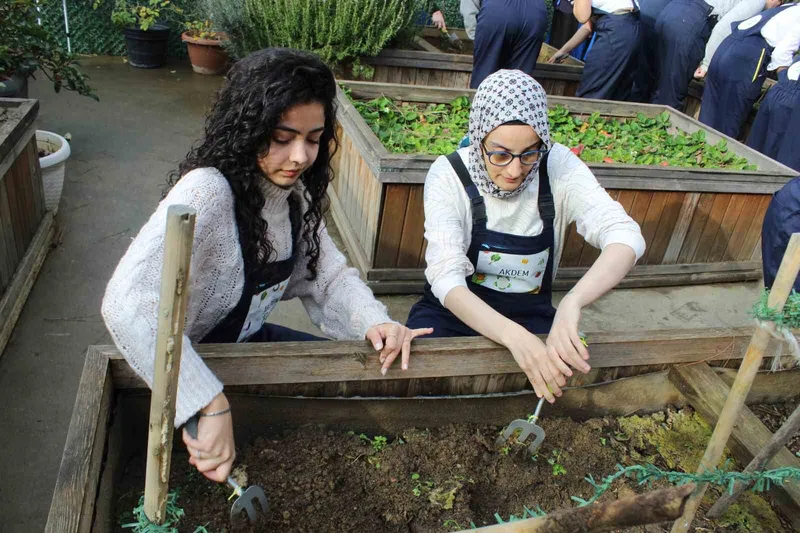 Zeytinburnu’nda ergoterapi öğrencileri engeli olan bireylerle birlikte fide ekti
