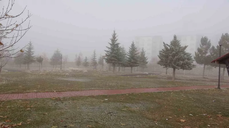 Bitlis’te sis ulaşımı olumsuz etkiledi
