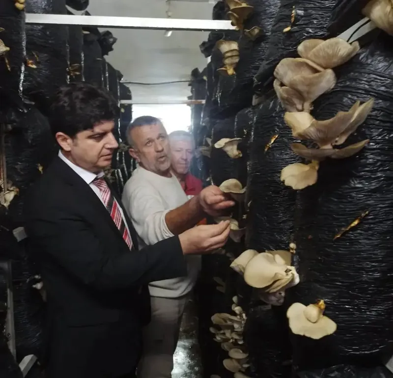 Sinop’ta mantar yetiştiriciliği eğitimi
