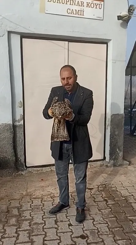 Yaralı kartal koruma altına alındı
