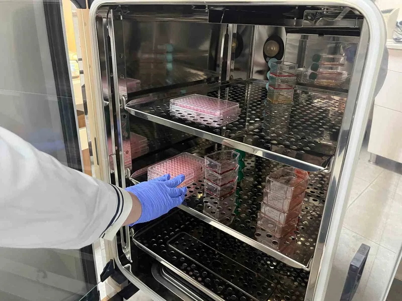 Parkinson’da bağırsak- beyin iletişimi çip üstü organ teknolojisiyle araştırılıyor
