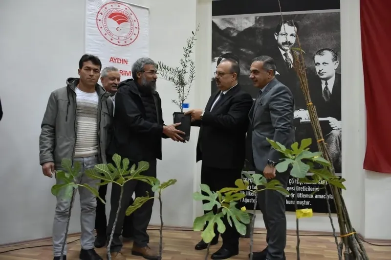 Aydın’da üreticilere 74 bin 90 fide dağıtılacak
