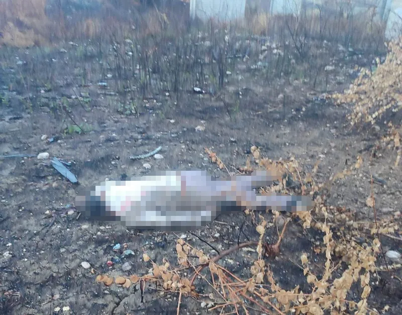 Mersin’de kaza yapan araç otoyolda, sürücüsü 30 metrelik köprünün altında ölü bulundu
