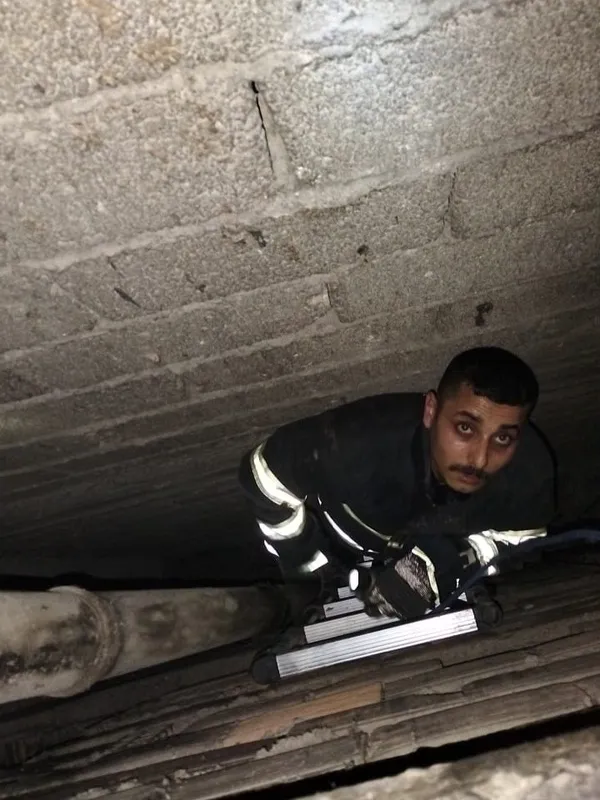 Havalandırma boşluğuna düşen yavru kediyi itfaiye kurtardı
