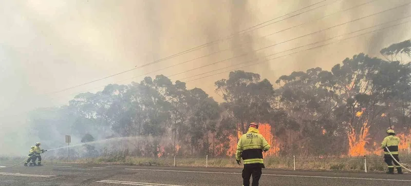Avustralya’da devam eden orman yangınlarında itfaiye görevlisi öldü
