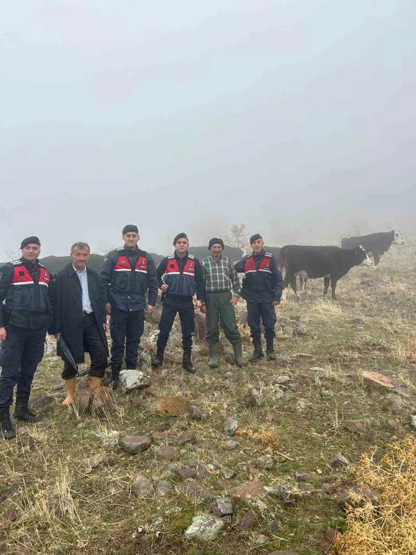 Hayvanları kaybolan kişinin imdadına jandarma yetişti
