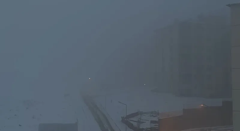 Yüksekova’da yoğun sis hayatı felç etti
