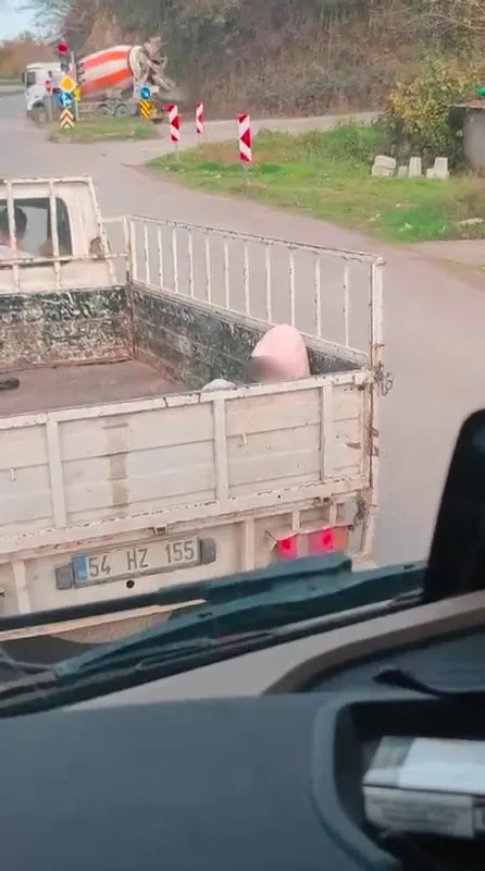 Soğuk havada yürek sızlatan yolculuk
