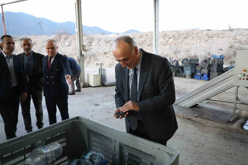 Sarıcakaya zeytinle ön plana çıkıyor
