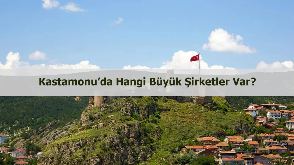 Kastamonu’da hangi büyük şirketler var?