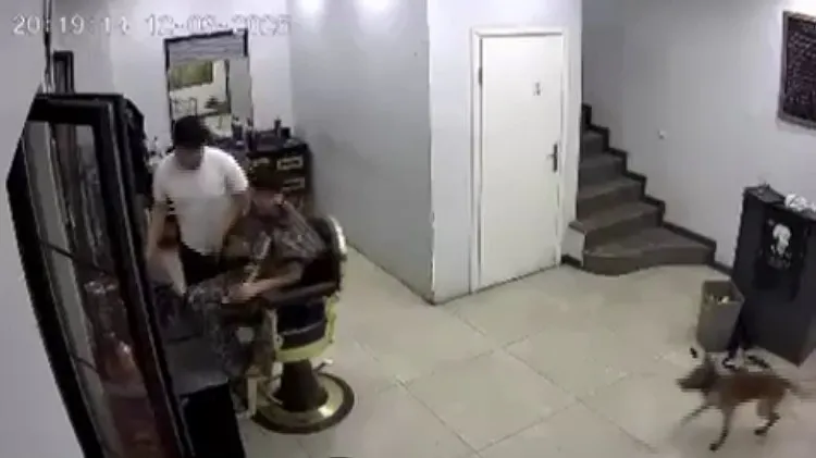 Zincirini koparan köpek kuaförde müşteriye ısırdı