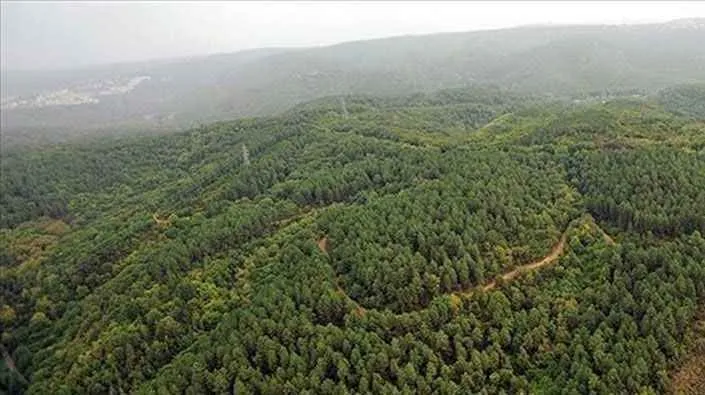 Kocaeli’de ormanlara giriş ve mangal yasağı o tarihte başlıyor!