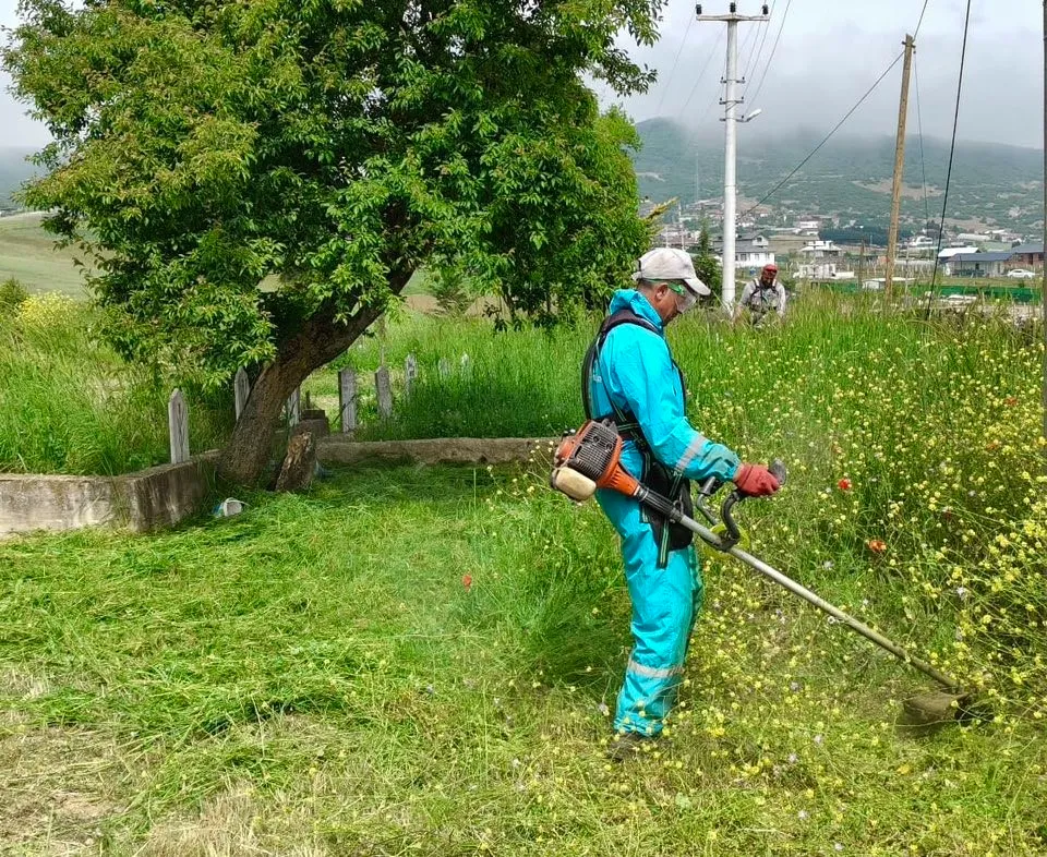 Yabani otlarla mücadele sürüyor