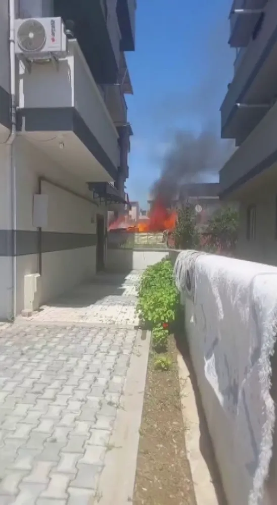 Darıca