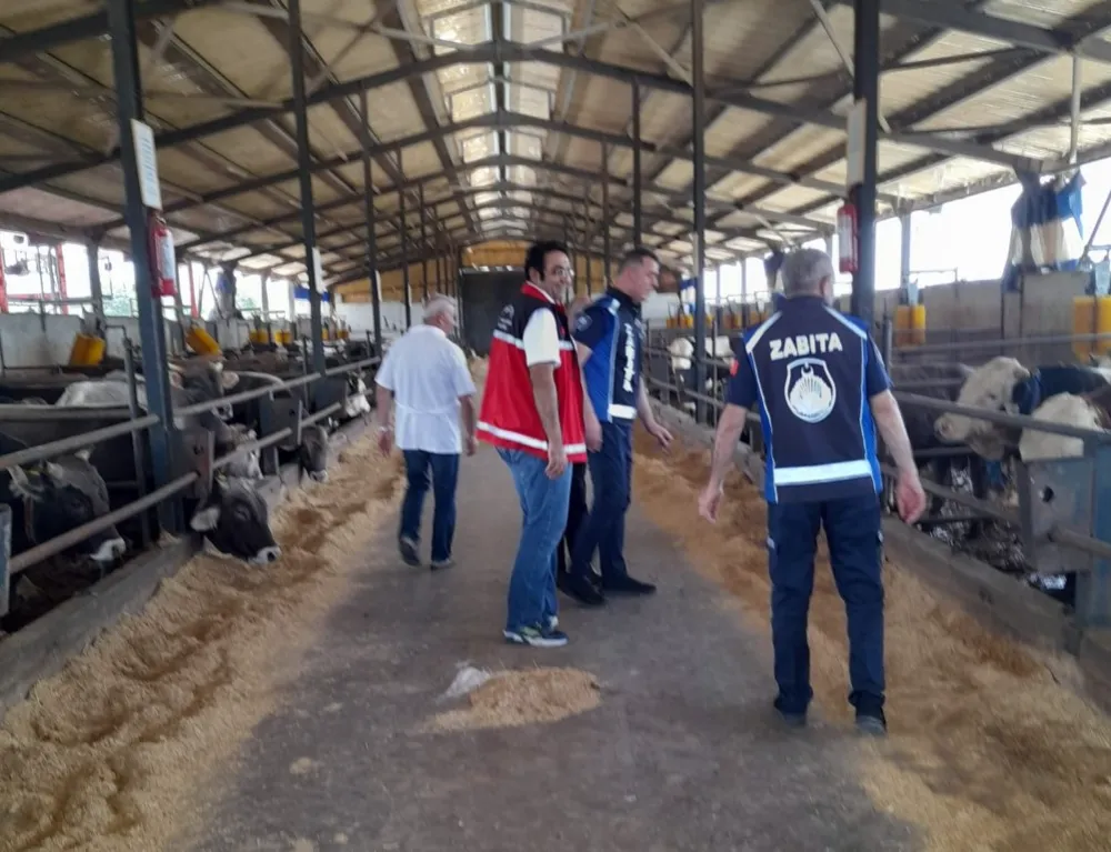 KARTEPE’DE KURBAN KESİM YERLERİ DENETLENİYOR